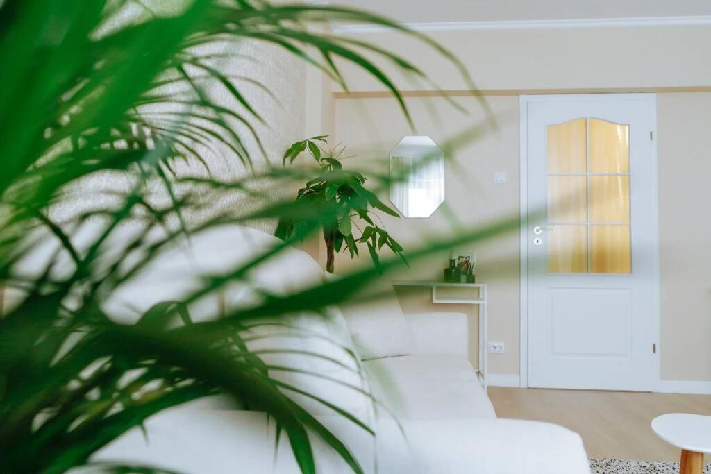 Elegant Vibes Apartment Next To Obor Market Букурещ Екстериор снимка